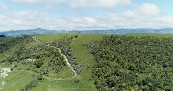 Captured by Micah Winiata